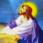 Catholic Picture Print Jesus Agony in Garden of Olives 3 Dimension 8x10 Artwork