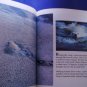 Baby Bears and How They Grow National Geographic 1986 Vintage Hardback Child BK