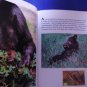 Baby Bears and How They Grow National Geographic 1986 Vintage Hardback Child BK