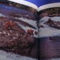Baby Bears and How They Grow National Geographic 1986 Vintage Hardback Child BK
