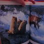 Baby Bears and How They Grow National Geographic 1986 Vintage Hardback Child BK
