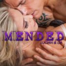 Mended Paperback In stock