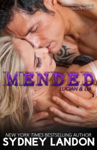 Mended Paperback In stock
