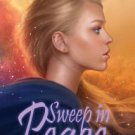Sweep In Peace Paperback Free shipping