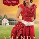 Summer of Promise (Westward Winds Series #1) Paperback Great Buy