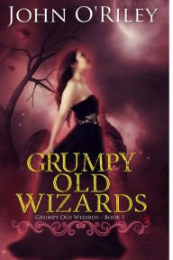 Grumpy Old Wizards Paperback for cheap