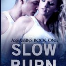Slow Burn Paperback Review