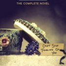 The Affair: The Complete Novel Paperback Free shipping