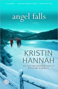 Angel Falls Paperback Reviews