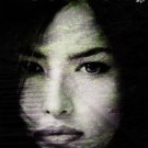 The Woodlands Paperback for cheap