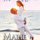 Maid for Love (Gansett Island Series, Book 1) Paperback In stock