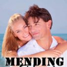 Mending Hearts Paperback Great Buy