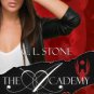 The Academy - Thief Paperback Cheap