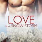Love in a Snow Storm Paperback Free shipping