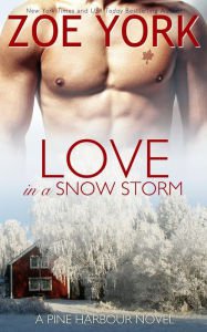 Love in a Snow Storm Paperback Free shipping