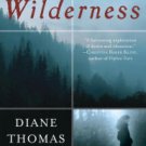 In Wilderness: A Novel Paperback Cheap