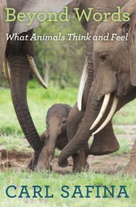 Beyond Words: What Animals Think and Feel Paperback Free shipping