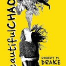 Beautiful Chaos Paperback Best Price