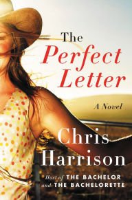 The Perfect Letter: A Novel Paperback Reviews
