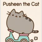 I Am Pusheen the Cat Paperback Great Buy