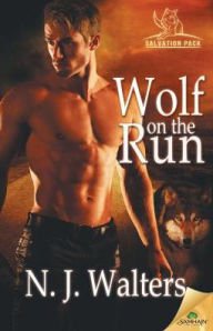 Wolf on the Run Paperback Free shipping