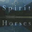 Spirit Horses Paperback Great Buy