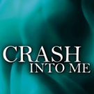 Crash Into Me (Heart of Stone Series #1) Paperback Review