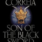 Son of the Black Sword Paperback In stock