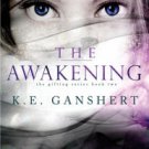 The Awakening Paperback Cheap