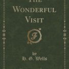 The Wonderful Visit (Classic Reprint) Paperback On sale