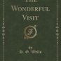The Wonderful Visit (Classic Reprint) Paperback On sale