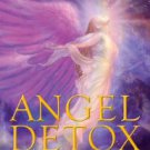 Angel Detox: Taking Your Life to a Higher Level Through Releasing Emotional, Physical, and Energeti