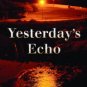 Yesterday's Echo Hardcover Review