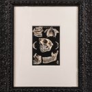 Antique Anatomic of Skull Print circa 1870