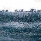 Samutsakorn