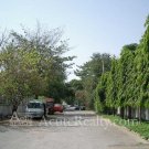 Nang-Lin-Chi ( Sathon)
