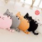 40*30CM 1 PCS Free Shipping Five Colors Pillows Cartoon Pusheen Cats Plush Toys