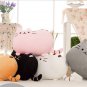 40*30CM 1 PCS Free Shipping Five Colors Pillows Cartoon Pusheen Cats Plush Toys