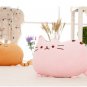 40*30CM 1 PCS Free Shipping Five Colors Pillows Cartoon Pusheen Cats Plush Toys