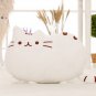 40*30CM 1 PCS Free Shipping Five Colors Pillows Cartoon Pusheen Cats Plush Toys