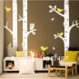 100"x100" Birch Tree Wall Decals for nursery- Baby nursery room art mural vinyl wall decor stickers