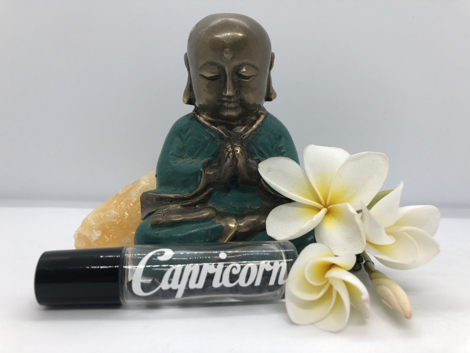 Capricorn  (Dec 22 &acirc;�� Jan 19)