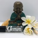 Gemini  May 21 – June 20