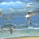 A Flash of White - Item OAPF209