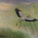 Great Blue Heron - Item PP125