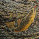 Red Tailed Wooly Bug - PP136