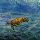 A Slow Descent - Item PP156
