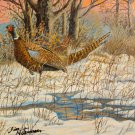 Item # OAPF225 - Another Sighting - Ring Neck Pheasant