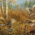 Item #AOPF227 - Bursting Out - Bob White Quail