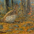 Item #OAPF228 Fall Colors - Ruffed Grouse